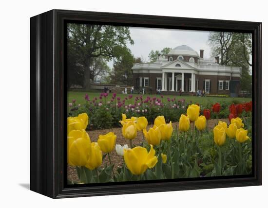 Tulips in Garden of Monticello, Virginia, USA-Merrill Images-Framed Premier Image Canvas