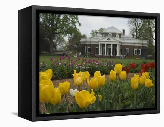 Tulips in Garden of Monticello, Virginia, USA-Merrill Images-Framed Premier Image Canvas