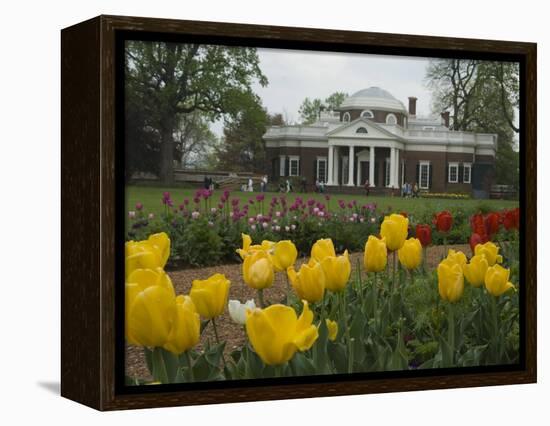 Tulips in Garden of Monticello, Virginia, USA-Merrill Images-Framed Premier Image Canvas