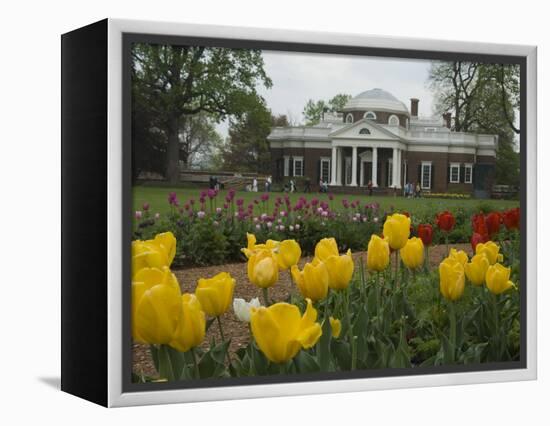 Tulips in Garden of Monticello, Virginia, USA-Merrill Images-Framed Premier Image Canvas
