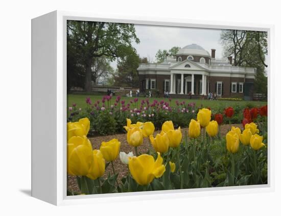 Tulips in Garden of Monticello, Virginia, USA-Merrill Images-Framed Premier Image Canvas