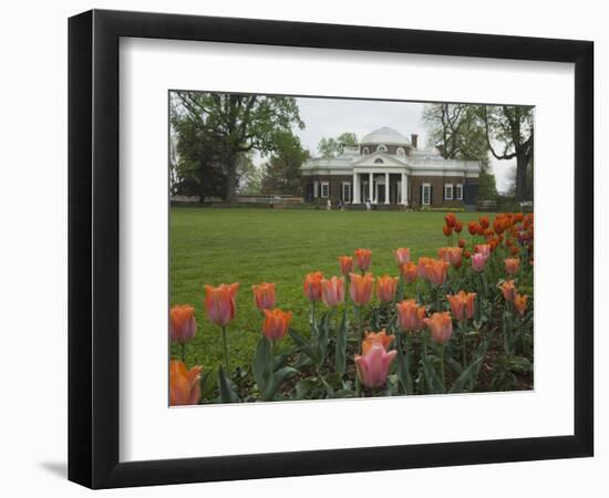 Tulips in Garden of Monticello, Virginia, USA-Merrill Images-Framed Photographic Print