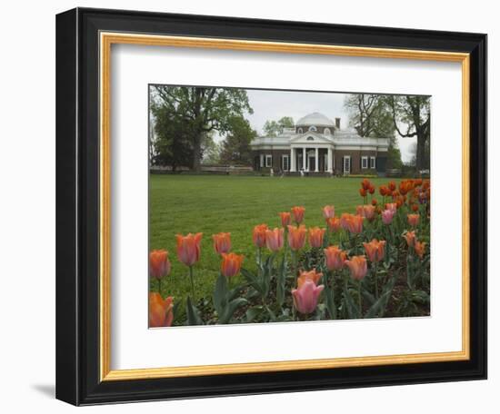 Tulips in Garden of Monticello, Virginia, USA-Merrill Images-Framed Photographic Print