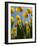 Tulips in Keukenhof Gardens, Amsterdam, Netherlands-Keren Su-Framed Photographic Print