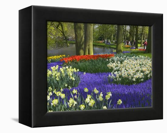 Tulips in Keukenhof Gardens, Amsterdam, Netherlands-Keren Su-Framed Premier Image Canvas