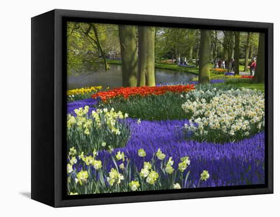 Tulips in Keukenhof Gardens, Amsterdam, Netherlands-Keren Su-Framed Premier Image Canvas