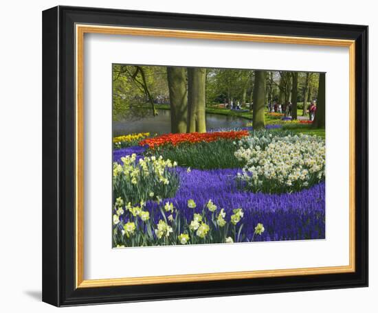 Tulips in Keukenhof Gardens, Amsterdam, Netherlands-Keren Su-Framed Premium Photographic Print