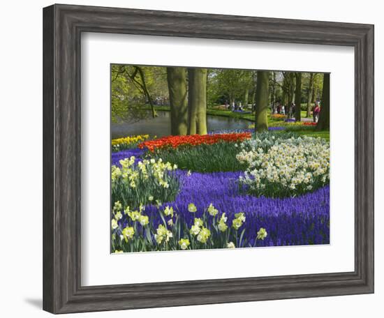 Tulips in Keukenhof Gardens, Amsterdam, Netherlands-Keren Su-Framed Photographic Print