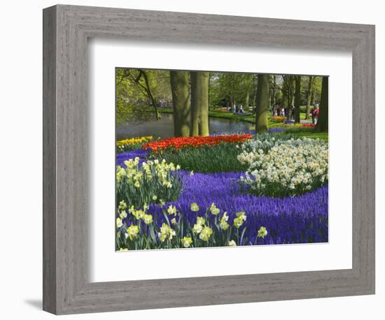 Tulips in Keukenhof Gardens, Amsterdam, Netherlands-Keren Su-Framed Photographic Print