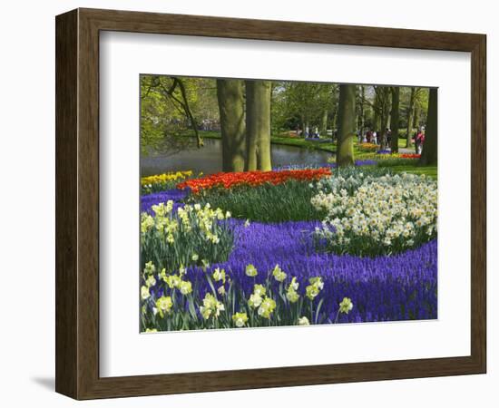 Tulips in Keukenhof Gardens, Amsterdam, Netherlands-Keren Su-Framed Photographic Print