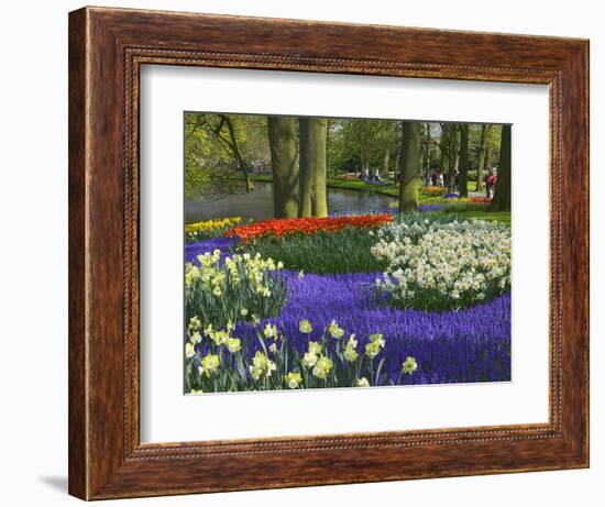 Tulips in Keukenhof Gardens, Amsterdam, Netherlands-Keren Su-Framed Photographic Print