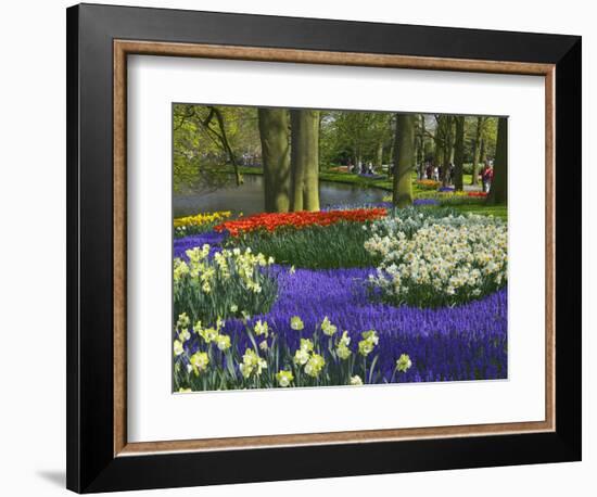 Tulips in Keukenhof Gardens, Amsterdam, Netherlands-Keren Su-Framed Photographic Print