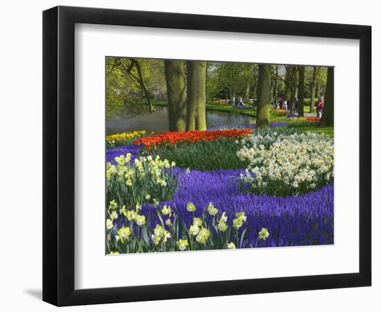 Tulips in Keukenhof Gardens, Amsterdam, Netherlands-Keren Su-Framed Photographic Print