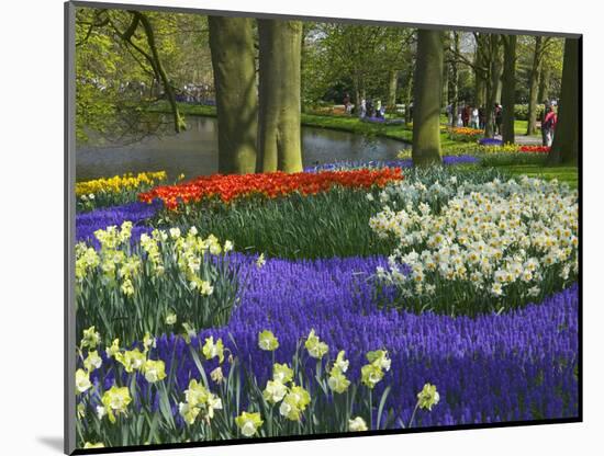 Tulips in Keukenhof Gardens, Amsterdam, Netherlands-Keren Su-Mounted Photographic Print