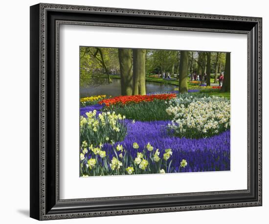 Tulips in Keukenhof Gardens, Amsterdam, Netherlands-Keren Su-Framed Photographic Print