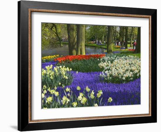 Tulips in Keukenhof Gardens, Amsterdam, Netherlands-Keren Su-Framed Photographic Print