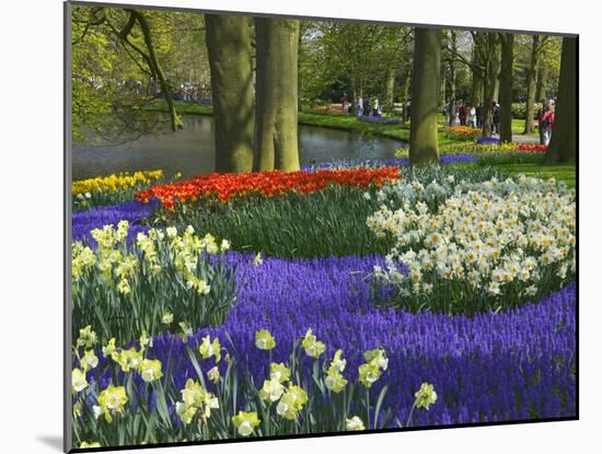 Tulips in Keukenhof Gardens, Amsterdam, Netherlands-Keren Su-Mounted Photographic Print