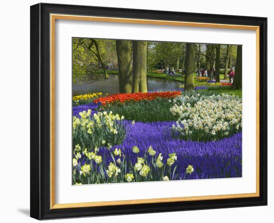 Tulips in Keukenhof Gardens, Amsterdam, Netherlands-Keren Su-Framed Photographic Print