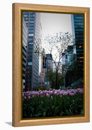 Tulips in Manhattan-Erin Berzel-Framed Premier Image Canvas