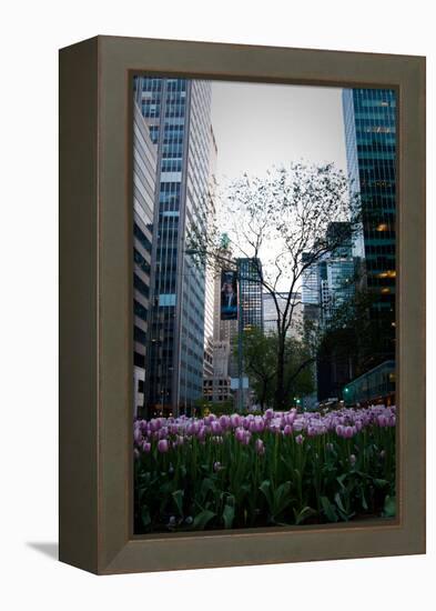Tulips in Manhattan-Erin Berzel-Framed Premier Image Canvas