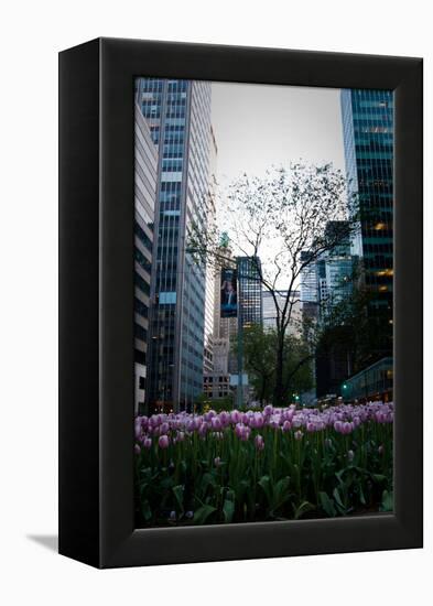 Tulips in Manhattan-Erin Berzel-Framed Premier Image Canvas