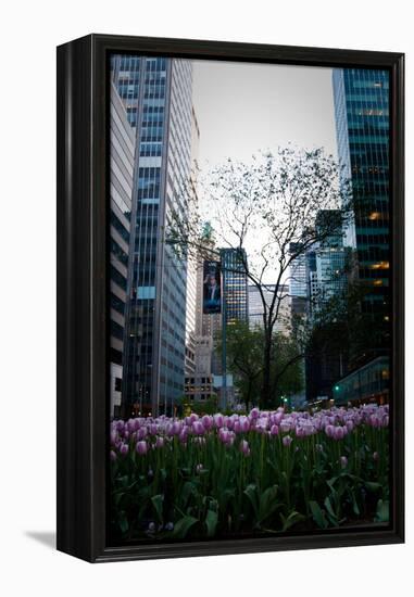 Tulips in Manhattan-Erin Berzel-Framed Premier Image Canvas