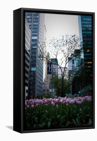 Tulips in Manhattan-Erin Berzel-Framed Premier Image Canvas