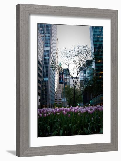 Tulips in Manhattan-Erin Berzel-Framed Photographic Print