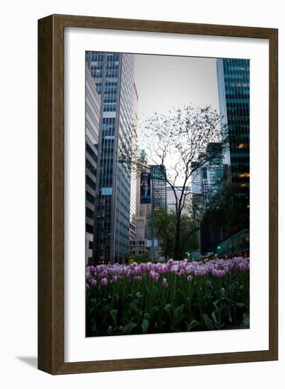 Tulips in Manhattan-Erin Berzel-Framed Photographic Print