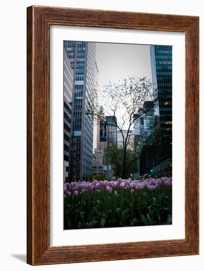 Tulips in Manhattan-Erin Berzel-Framed Photographic Print