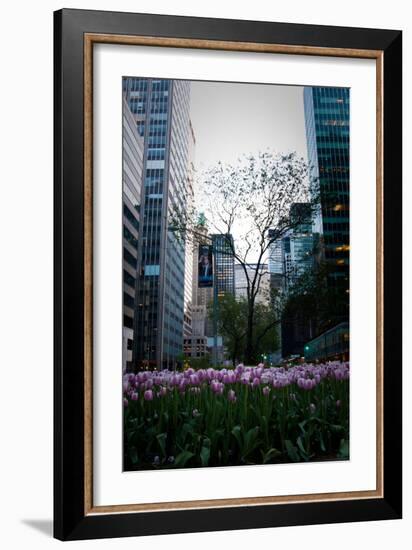 Tulips in Manhattan-Erin Berzel-Framed Photographic Print