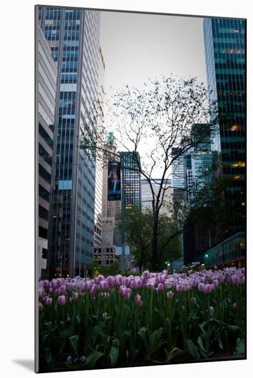Tulips in Manhattan-Erin Berzel-Mounted Photographic Print
