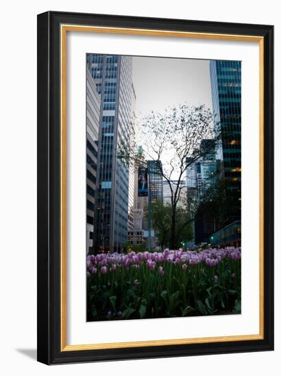 Tulips in Manhattan-Erin Berzel-Framed Photographic Print