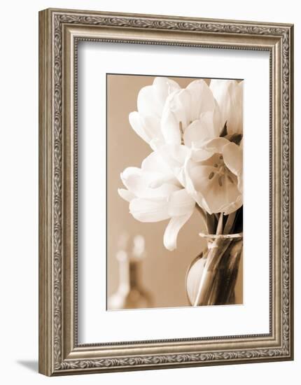 Tulips in Sepia-Christine Zalewski-Framed Art Print