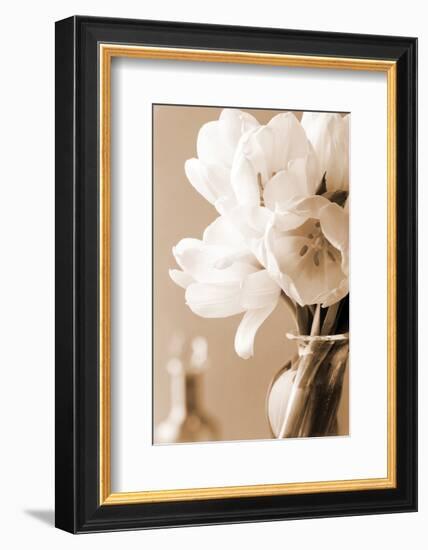 Tulips in Sepia-Christine Zalewski-Framed Art Print