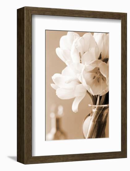 Tulips in Sepia-Christine Zalewski-Framed Art Print