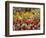 Tulips in St James's Park, London, England, United Kingdom-David Wall-Framed Photographic Print