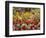 Tulips in St James's Park, London, England, United Kingdom-David Wall-Framed Photographic Print