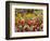 Tulips in St James's Park, London, England, United Kingdom-David Wall-Framed Photographic Print