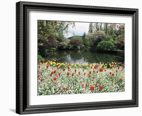 Tulips in the Butchart Gardens, Vancouver Island, Canada, British Columbia, North America-Alison Wright-Framed Photographic Print