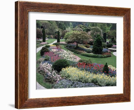 Tulips in the Butchart Gardens, Vancouver Island, Canada, British Columbia, North America-Alison Wright-Framed Photographic Print