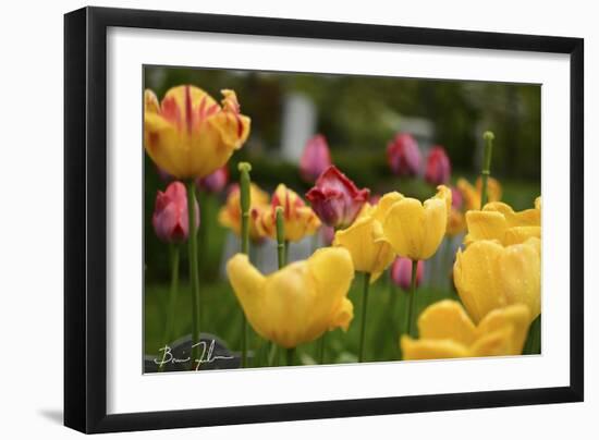 Tulips In The Rain-5fishcreative-Framed Giclee Print