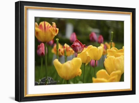 Tulips In The Rain-5fishcreative-Framed Giclee Print