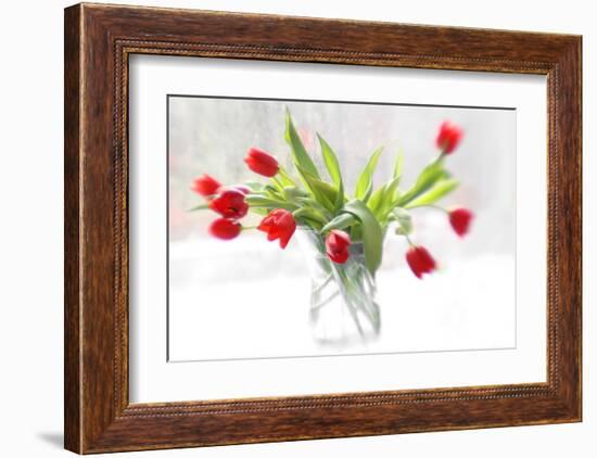 Tulips in Winter-Judy Stalus-Framed Art Print