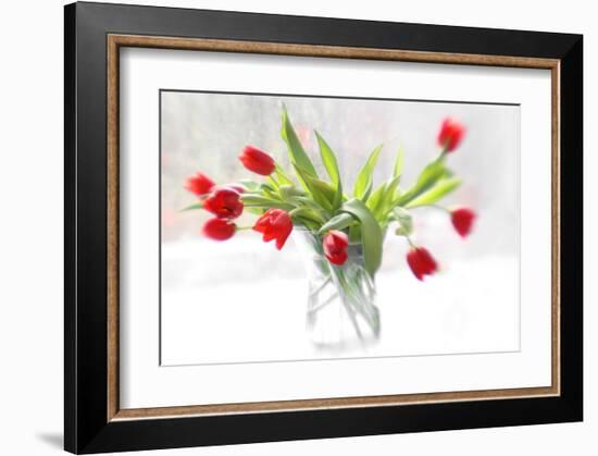 Tulips in Winter-Judy Stalus-Framed Art Print