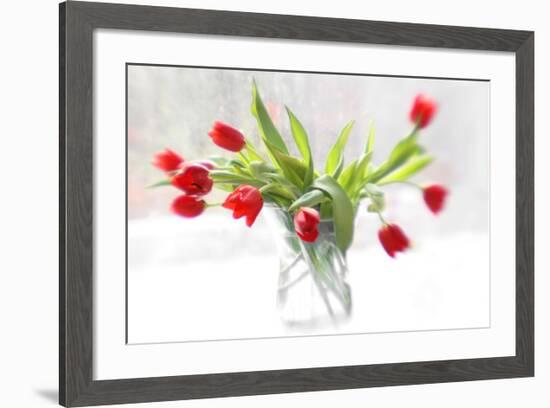 Tulips in Winter-Judy Stalus-Framed Art Print