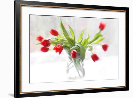 Tulips in Winter-Judy Stalus-Framed Art Print