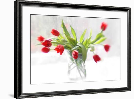 Tulips in Winter-Judy Stalus-Framed Art Print