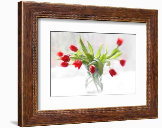 Tulips in Winter-Judy Stalus-Framed Art Print