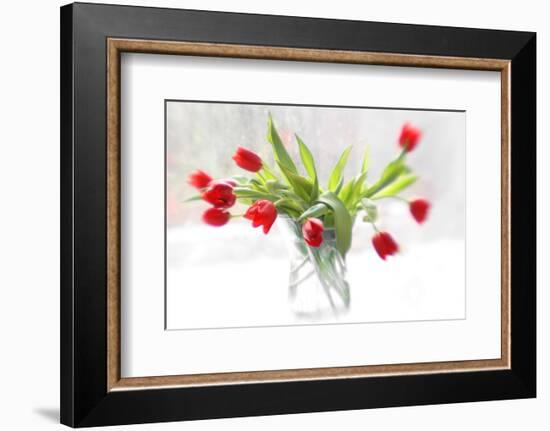 Tulips in Winter-Judy Stalus-Framed Art Print